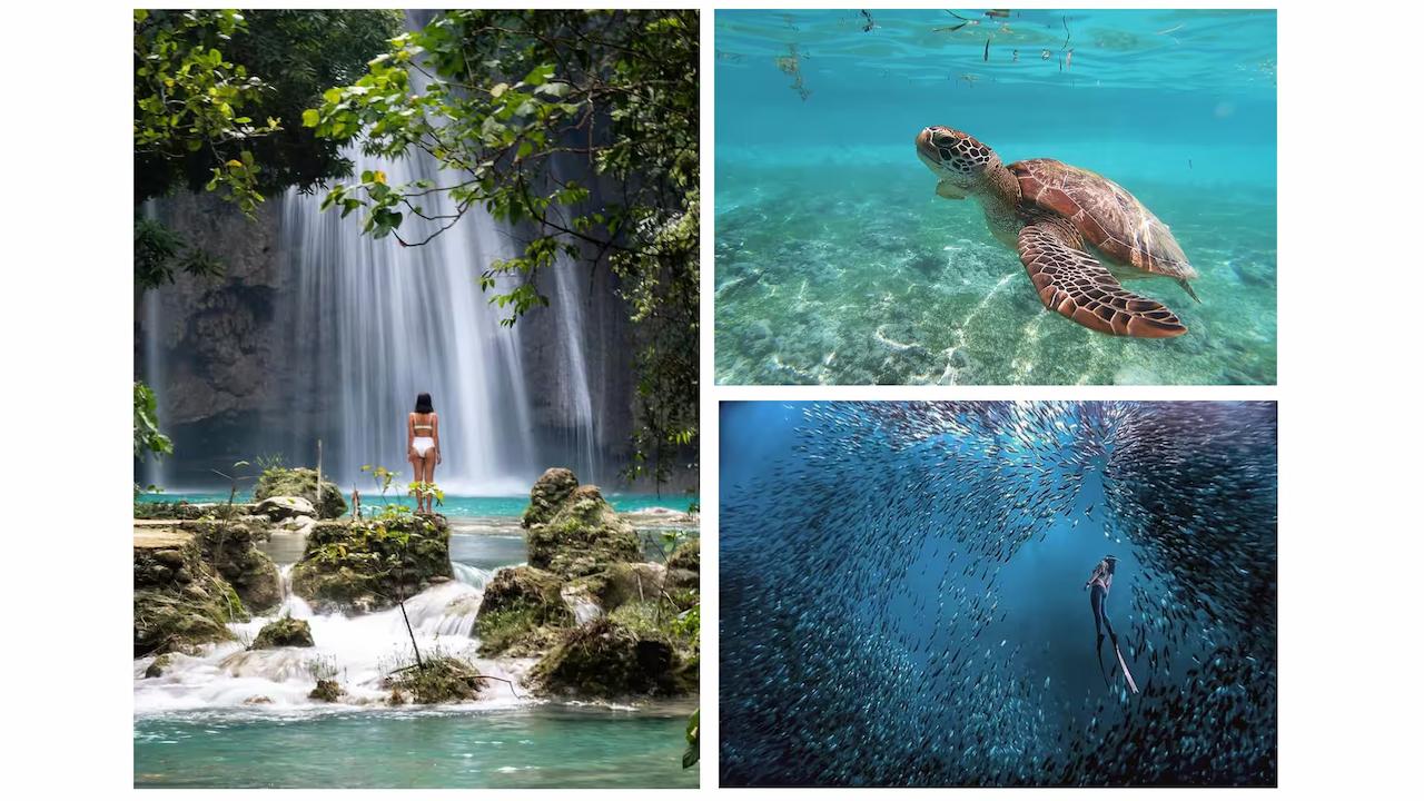 Moalboal and Kawasan Package Tour